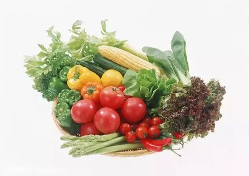 农产品销售渠道全景洞察 传统与新兴模式的深度剖析