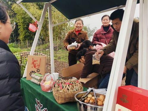 长寿区新市街道 油菜花开正当时，“美丽产业”绘就乡村振兴新画卷