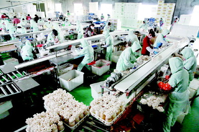 广饶县 以现代农业为抓手，绘就乡村产业振兴新图景