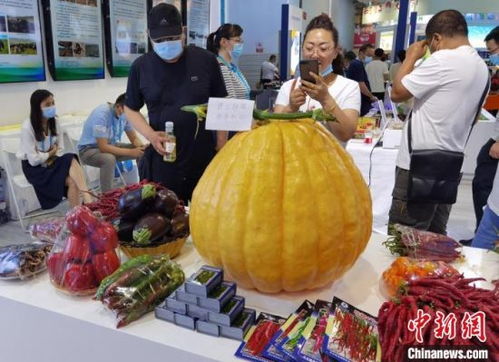 甘肃构建县域商业体系 激活乡村消费潜力，畅通农产品上行通道