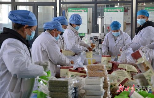 环县 村集体经济拓宽群众致富路，特色农产品激活乡村振兴新引擎