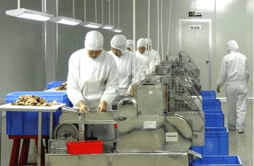 古田现代农业产业园 “县域工厂”模式，农产品品牌化突围的强引擎