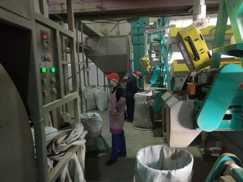 川字号农产品乘风破浪 四川新鲜水果出口激增的启示