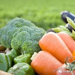 日本与美国解决农产品滞销的经验 对中国的启示